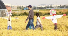 노란 들녘에 나만의 허수아비 세워요