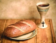 이상기후에 변하기 시작한 포도맛...세계 와인산업 400년만에 격변 시작