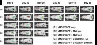 에스에프씨, 화이바이오와 세포치료제 강화기술 개발 위한 연구 협약