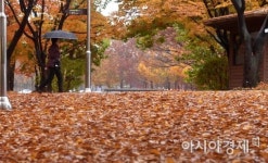 [포토] 깊어가는 가을의 정취
