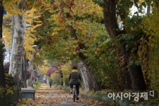  [골목길 핫플레이스]舊남영동 대공분실과 전쟁기념관