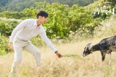 ‘톱스타 유백이’ 촬영지 대모도·청산도 화제…‘다채로운 경관’