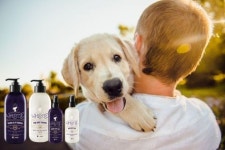 애경산업, 삼성카드와 반려동물 공동사업 나선다