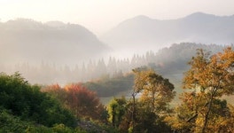[조용준의 여행만리]土城 위 저 소나무 붉은 노을을 품다