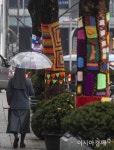 [포토] 가로수의 변신