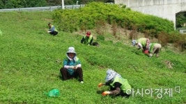 정읍시, 노인일자리 및 사회활동지원사업 연중형 사업 추진