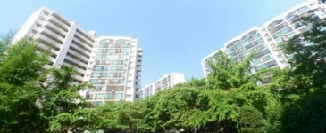 잠실 장미아파트 50층 재건축 도전