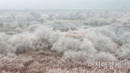 곡성군, 섬진강 침실습지 훼손지 복원사업 시작