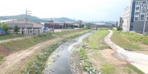수원 원천리천 등 7개 하천 대대적 정비…13.4km