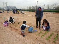 도시농부 도전자 모집