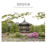 집배원 아저씨만이 아는 그곳...여기가 꽃길이여~