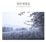 집배원 아저씨만이 아는 그곳...여기가 꽃길이여~