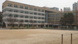 [일상이 된 미세먼지]온데간데 없이 사라진 새학기 분위기, 운동장도 캠퍼스도 휑