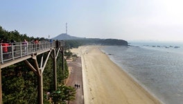 [조용준의 여행만리]주꾸미·동백에 취하고…백마강 낙화암에 가슴 저리고