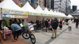 관악구, 반려동물과 공존 앞장선 까닭?...