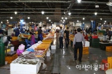 고등어·오징어 등 주요 수산물 산지·도소매 가격 실시간 확인 가능