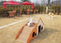 롯데프리미엄아울렛 기흥점, 반려동물과 함께 쇼핑하세요