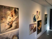 순천 조례호수도서관 ‘동물들과의 소통’ 특별전