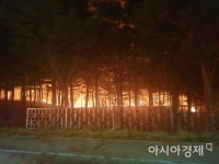 [현장]악몽 같은 밤…대형 산불 속초, 재난 영화 그 자체