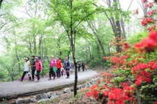 [이사람]류경기 중랑구청장, 봉화산 둘레길 꽃길 걸으며 주민 의견 수렴 