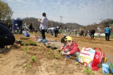금천구, 행복을 가꾸는 ‘친환경 주말농장’ 개장