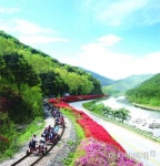 곡성 기차마을·섬진강 대나무 숲·순천만서 소중한 추억을  