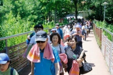 우장산 신록축제 오세요~~~