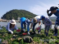 ‘전남에서 먼저 살아보기’ 운영 한 달만에 426명 신청