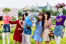 중랑천에 핀 35m 하늘장미 보러가자!...2019서울장미축제 팡파르~