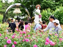 2019 서울장미축제 백 배 즐기기?
