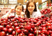 [포토]새콤한 체리 들여가세요…롯데마트, 체리 1팩 1만2900원