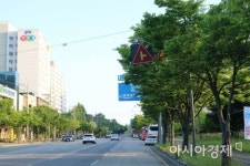‘광주수영대회는 코앞인데…’ 가로수에 가린 이정표 “안보여요”