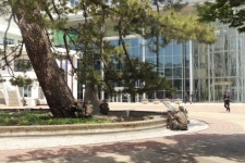 육군 제31보병사단 임충식대대, 을지태극연습 실시