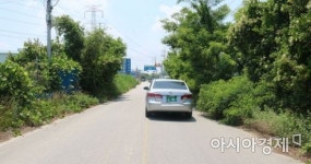 “중앙선도 없고, 인도는 심란” 관리 손 놓은 광주 북구