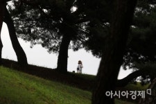 [포토]흐린 날의 산책