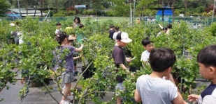 화순군 농촌교육장, 힐링 장소로 ‘인기’
