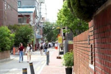 성동구 성수동 서울숲길 프렌차이즈 신규 입점 제한 