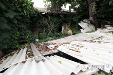 [문호남의 찍고 쓰고]잊혀진 삼릉, 사라질 삼릉 