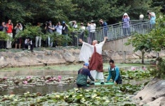 강진 남미륵사, 빅토리아 연잎의 ‘화려한 외출’