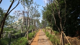 동작구 효사정 ~용봉정 근린공원 연결 산책로 조성