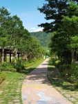 [전라도 주말 여행] ② 함평자연생태공원