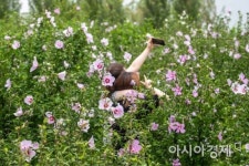 [포토]광복절 앞둔 무궁화 동산