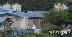 신축 축사에 방역훈련까지 했는데… 불안한 파주·연천 농장