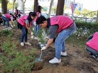 강남구 ‘다시 찾고 싶은 공원, 힐링가든’ 조성