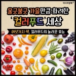 [카드뉴스]울긋불긋 가을만큼 화려한 컬러푸드 세상