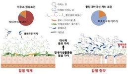 콜레라균 대항 생쥐의 장내 미생물종 규명