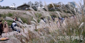[포토] 가을가을한 하늘공원