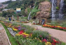 홍제천 가을 꽃길에서 윤동주의 시 느껴 보자