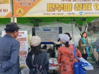 서울시농수산식품공사, 가락몰 청렴문화 선도