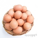 인도서 날계란 40개 한꺼번에 먹은 남성 사망... 왜 죽었을까?